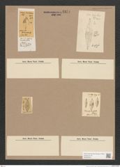 Navicula sp. (de-Toni-Nr.: Genus 1) Zeichnungen Sammlung Grunow Nr. 1374 (NHMW-BOT-W0368330)